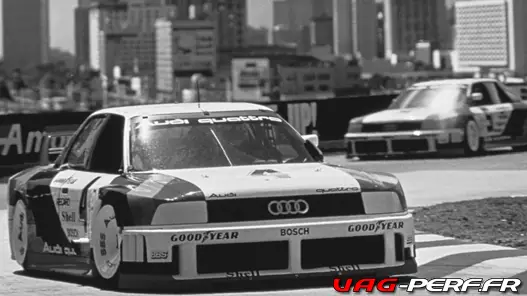 Audi-IMSA-GTO.png